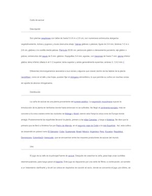 información sobre la caña de azucar