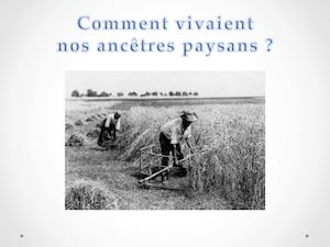 Comment Vivaient Nos Ancêtres Paysans