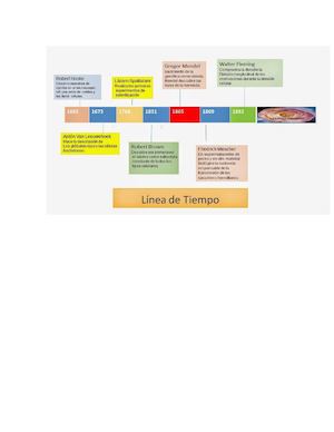Linea de Tiempo de la Célula