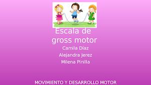 Gross Motor