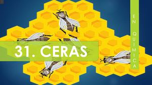 161315 Qii T31 Diapo