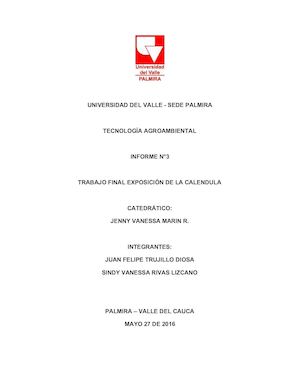 Calendulainformefinal Docx