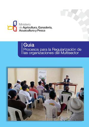 Guia De Legalizacion