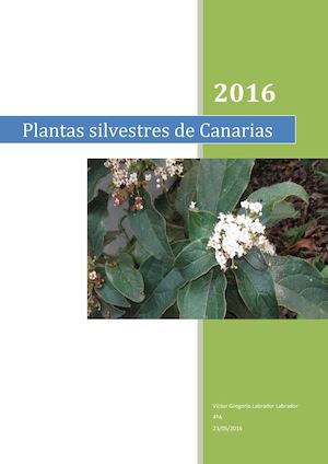 Ecosistemas De Canarias