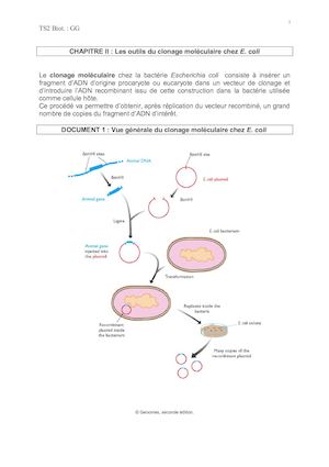 Poly cours chap Ii GG