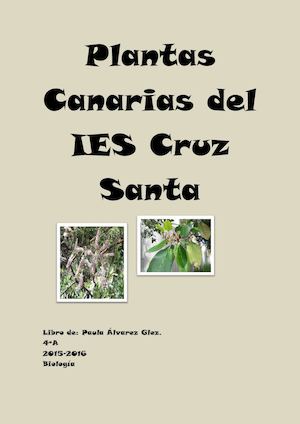 Plantas Canarias Del Ies Cruz Santa (2)