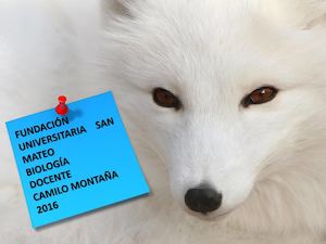 Clase Magistral Biologia