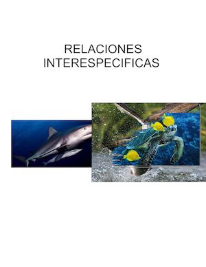 Relaciones Interespecificas