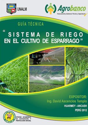 016 A Esparragos Compressed