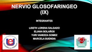 Nervio Glosofaringeo (Ix)