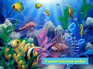 Удивительные рыбы