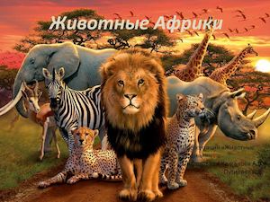 Животные Африки