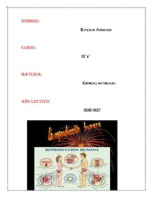 Etapas de reproducción humana desde fecundación hasta el nacimiento