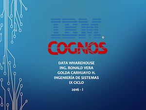 IBM COGNOS BI