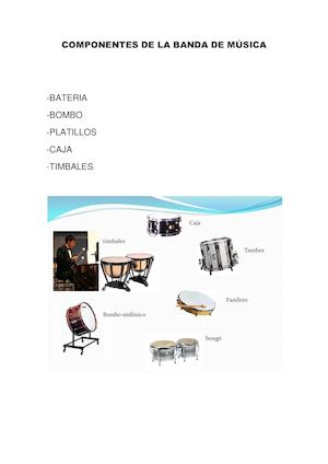 Componentes De La Banda De Música
