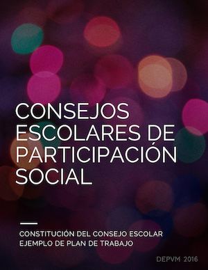 Consejos Escolares De Participación Soci