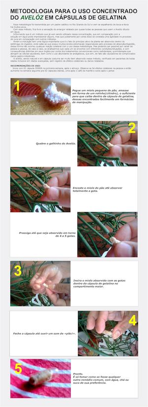 Metodologia Do Uso Do Avelóz Em Cápsulas De Gelatina