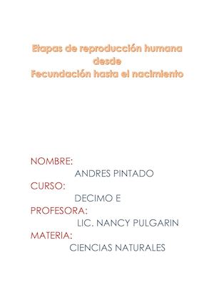 Etapas De Reproducción Humana Desde Fecundación Hasta El Nacimiento