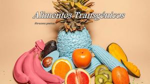 Alimento Transgenicos