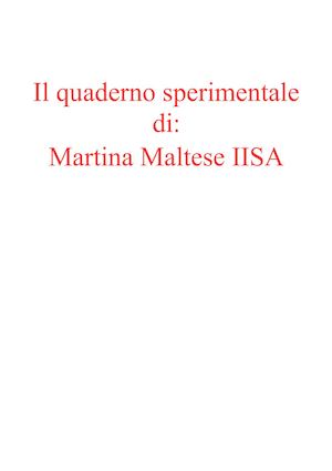 Il Quaderno sperimentale di Martina Maltese2°SA