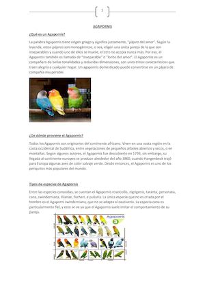 Agapornis(Monográfico)