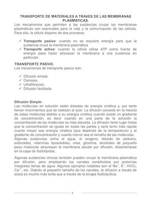 Biología Molecular (Rarra)