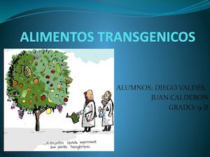 Alimentos Transgenicos