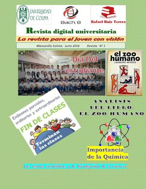 EJEMPLO DE REVISTA
