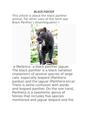 Black Panter