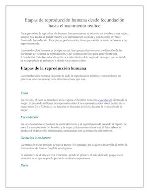 Etapas De Reproducción Humana Desde Fecundación Hasta El Nacimiento Realice