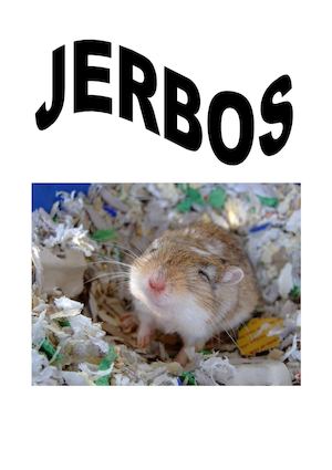 Jerbos