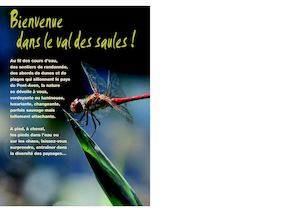 Pont Aven Guide Des Sports Et Loisirs 2016