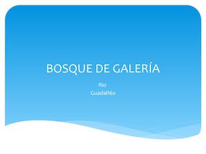 Bosque De Galería Río Guadalféo