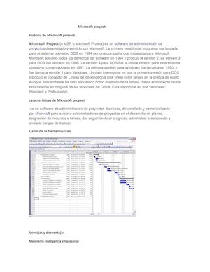 MICROSOFT PROYECT