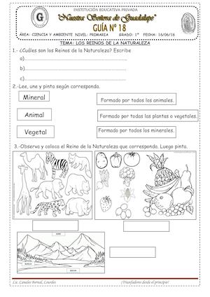 Los Reinos De La Naturaleza