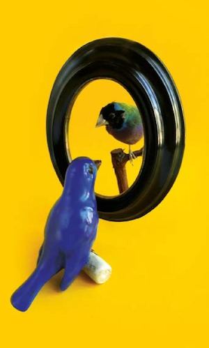 Saison 2016 - 2017 de Mouffetard - Théâtre des arts de la marionnette