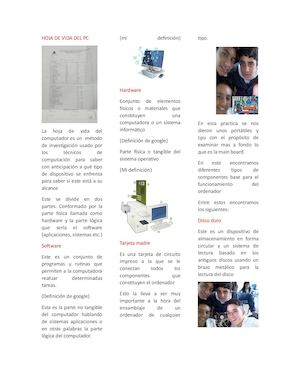 Hoja De Vida Del Pc