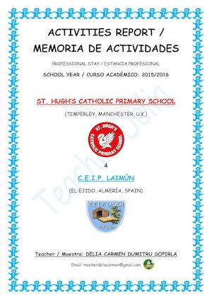 Activities Report Professional Stay Blog