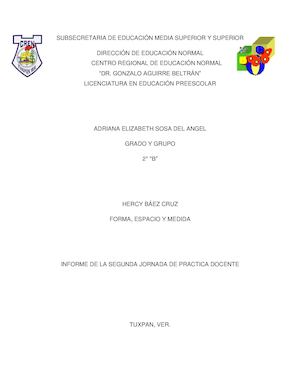 6diagnostico Informe De La Practica