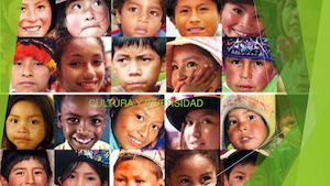 Revista Cultura Y Diversidad