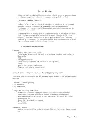 Reporte Tecnico