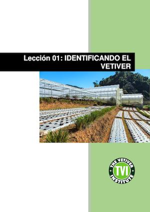 Leccion 1 Identificando la Especie Vetiver