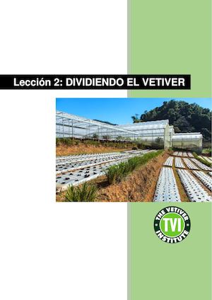 Leccion 2 Dividiendo el Vetiver