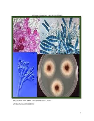 Atlas Hongos Patógenos 8