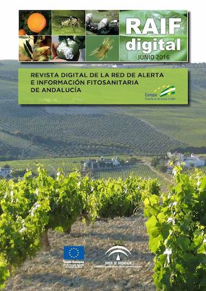 Revista Raif Junio2016 Definitiva