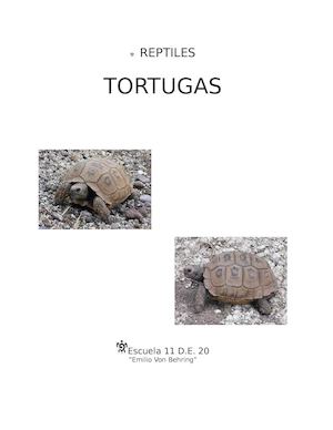 Tortugas
