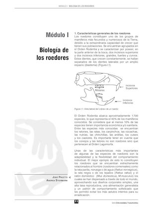 Biologia Roedores
