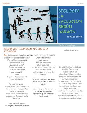 La Evolución Del Ser Humano