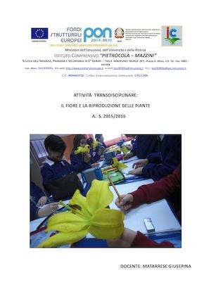 Il fiore e la riproduzione delle piante