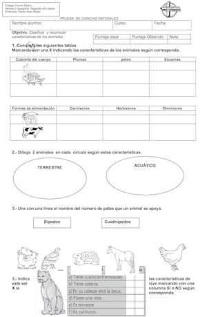 Prueba De Ciencias Naturales Clasificación De Animales